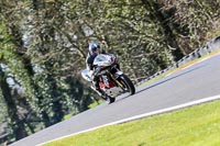 Oulton-Park-20th-March-2020;PJ-Motorsport-Photography-2020;anglesey;brands-hatch;cadwell-park;croft;donington-park;enduro-digital-images;event-digital-images;eventdigitalimages;mallory;no-limits;oulton-park;peter-wileman-photography;racing-digital-images;silverstone;snetterton;trackday-digital-images;trackday-photos;vmcc-banbury-run;welsh-2-day-enduro